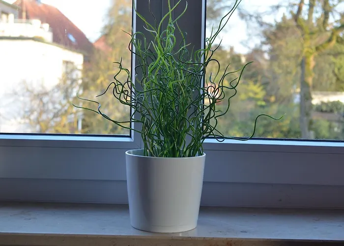 Hotel Alter Giebel Kirchhellen